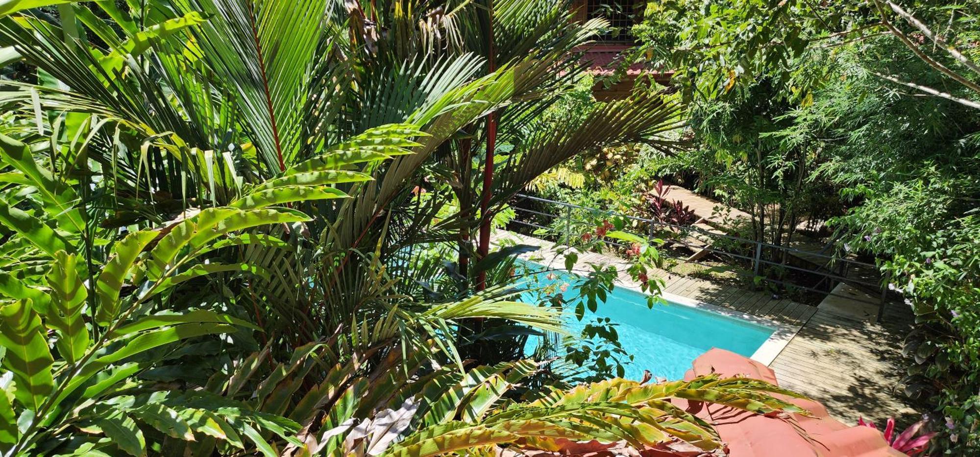 Boutique Hotel Y Spa Tangara Azul Ojochal Esterno foto