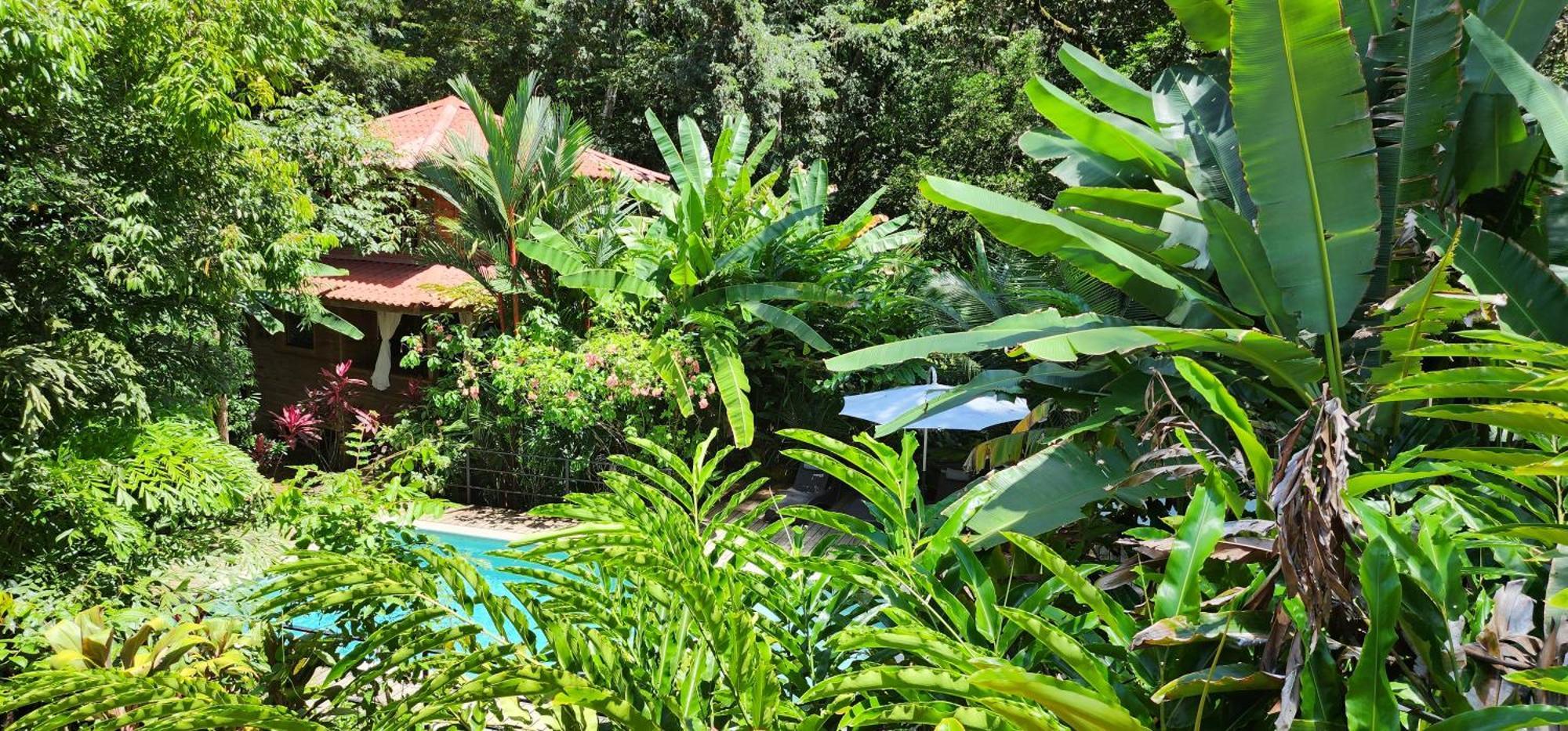 Boutique Hotel Y Spa Tangara Azul Ojochal Esterno foto